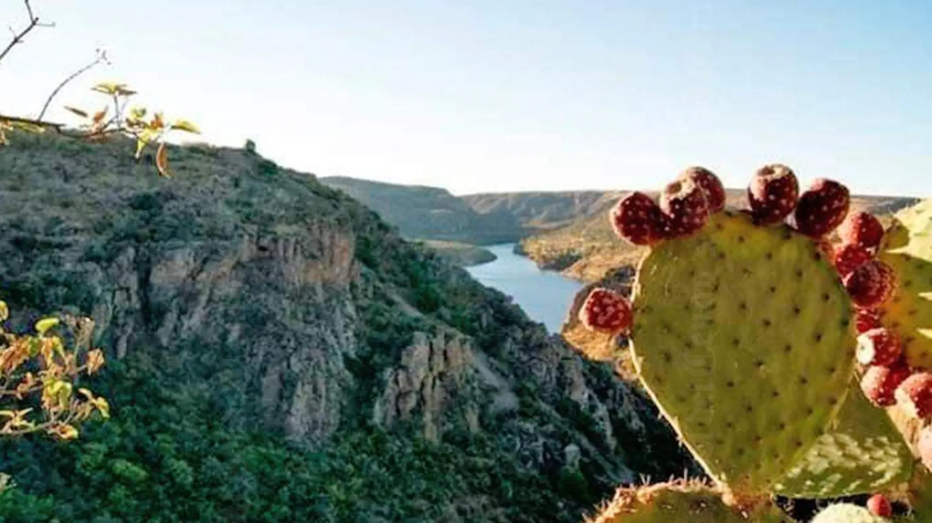 sierra aguascalientes